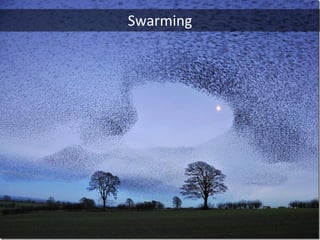 Swarming
 