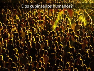 E os cupinzeiros humanos?
 