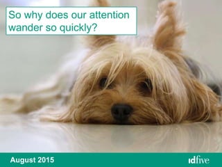 So why does our attention
wander so quickly?
August 2015
 