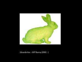 Eduardo Kac – GFP Bunny (2002 - )
 