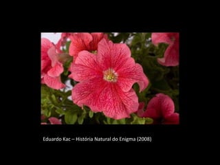 Eduardo Kac – História Natural do Enigma (2008)
 