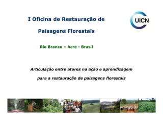 I Oficina de Restauração de

   Paisagens Florestais


    Rio Branco – Acre - Brasil




Articulação entre atores na ação e aprendizagem

   para a restauração de paisagens florestais




                         Unión Internacional para la Conservación de la Naturaleza
 