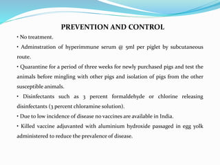PREVENTION AND CONTROL
• No treatment.
• Adminstration of hyperimmune serum @ 5ml per piglet by subcutaneous
route.
• Quarantine for a period of three weeks for newly purchased pigs and test the
animals before mingling with other pigs and isolation of pigs from the other
susceptible animals.
• Disinfectants such as 3 percent formaldehyde or chlorine releasing
disinfectants (3 percent chloramine solution).
• Due to low incidence of disease no vaccines are available in India.
• Killed vaccine adjuvanted with aluminium hydroxide passaged in egg yolk
administered to reduce the prevalence of disease.
 
