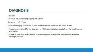DIAGNOSIS
Serology
 serum neutralization (SN) and ELISA tests.
Detection of Virus
 In infected pigs the virus is usually present in nasal secretions for up to 10 days
 A common method for the diagnosis of PRV in sows is to take swabs from the nasal mucosa
and vagina
 New PCR techniques have been used and they can differentiate between true and false
serologic positives
 