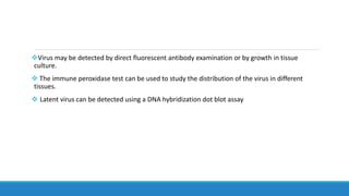 Virus may be detected by direct fluorescent antibody examination or by growth in tissue
culture.
 The immune peroxidase test can be used to study the distribution of the virus in different
tissues.
 Latent virus can be detected using a DNA hybridization dot blot assay
 