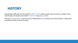 HISTORY
Pseudorabies (PR) was first described in 1813 in cattle suffering with extreme pruritus. Based on the
clinical signs, the disease was called “mad itch” (Baskerville et al. 1973).
The term “pseudorabies” was first used in Switzerland in 1849 because the clinical signs in cattle were
considered similar to those of rabies.
 