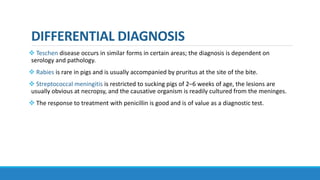 DIFFERENTIAL DIAGNOSIS
 Teschen disease occurs in similar forms in certain areas; the diagnosis is dependent on
serology and pathology.
 Rabies is rare in pigs and is usually accompanied by pruritus at the site of the bite.
 Streptococcal meningitis is restricted to sucking pigs of 2–6 weeks of age, the lesions are
usually obvious at necropsy, and the causative organism is readily cultured from the meninges.
 The response to treatment with penicillin is good and is of value as a diagnostic test.
 