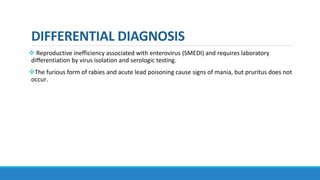 DIFFERENTIAL DIAGNOSIS
 Reproductive inefficiency associated with enterovirus (SMEDI) and requires laboratory
differentiation by virus isolation and serologic testing.
The furious form of rabies and acute lead poisoning cause signs of mania, but pruritus does not
occur.
 