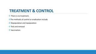 TREATMENT & CONTROL
 There is no treatment.
The methods of control or eradication include
 Depopulation and repopulation
 Test and removal
 Vaccination.
 