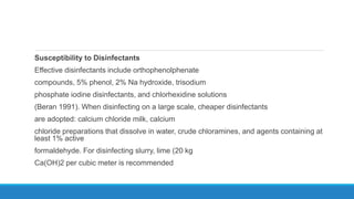 Susceptibility to Disinfectants
Effective disinfectants include orthophenolphenate
compounds, 5% phenol, 2% Na hydroxide, trisodium
phosphate iodine disinfectants, and chlorhexidine solutions
(Beran 1991). When disinfecting on a large scale, cheaper disinfectants
are adopted: calcium chloride milk, calcium
chloride preparations that dissolve in water, crude chloramines, and agents containing at
least 1% active
formaldehyde. For disinfecting slurry, lime (20 kg
Ca(OH)2 per cubic meter is recommended
 