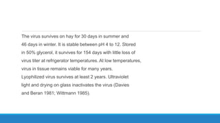 The virus survives on hay for 30 days in summer and
46 days in winter. It is stable between pH 4 to 12. Stored
in 50% glycerol, it survives for 154 days with little loss of
virus titer at refrigerator temperatures. At low temperatures,
virus in tissue remains viable for many years.
Lyophilized virus survives at least 2 years. Ultraviolet
light and drying on glass inactivates the virus (Davies
and Beran 1981; Wittmann 1985).
 