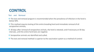 CONTROL
Test and Removal
 The test and removal program is recommended when the prevalence of infection in the herd is
below 50%.
 This method requires testing of the entire breeding herd and immediate removal of all
seropositive animals;
 30 days after removal of seropositive animals, the herd is retested, and if necessary at 30-day
intervals, until the entire herd tests are negative.
 Seropositive animals are identified and culled.
 The test and removal method is superior to the vaccination system as a method of control.
 