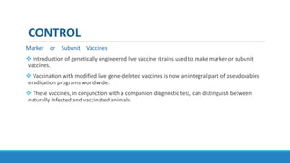 CONTROL
Marker or Subunit Vaccines
 Introduction of genetically engineered live vaccine strains used to make marker or subunit
vaccines.
 Vaccination with modified live gene-deleted vaccines is now an integral part of pseudorabies
eradication programs worldwide.
 These vaccines, in conjunction with a companion diagnostic test, can distinguish between
naturally infected and vaccinated animals.
 