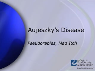 Aujeszky’s Disease

Pseudorabies, Mad Itch
 