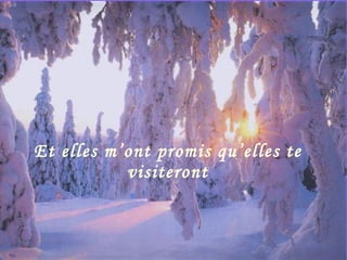 Et elles m’ont promis qu’elles te visiteront 