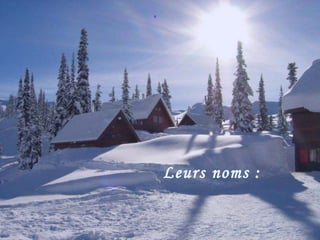 Leurs noms : .   