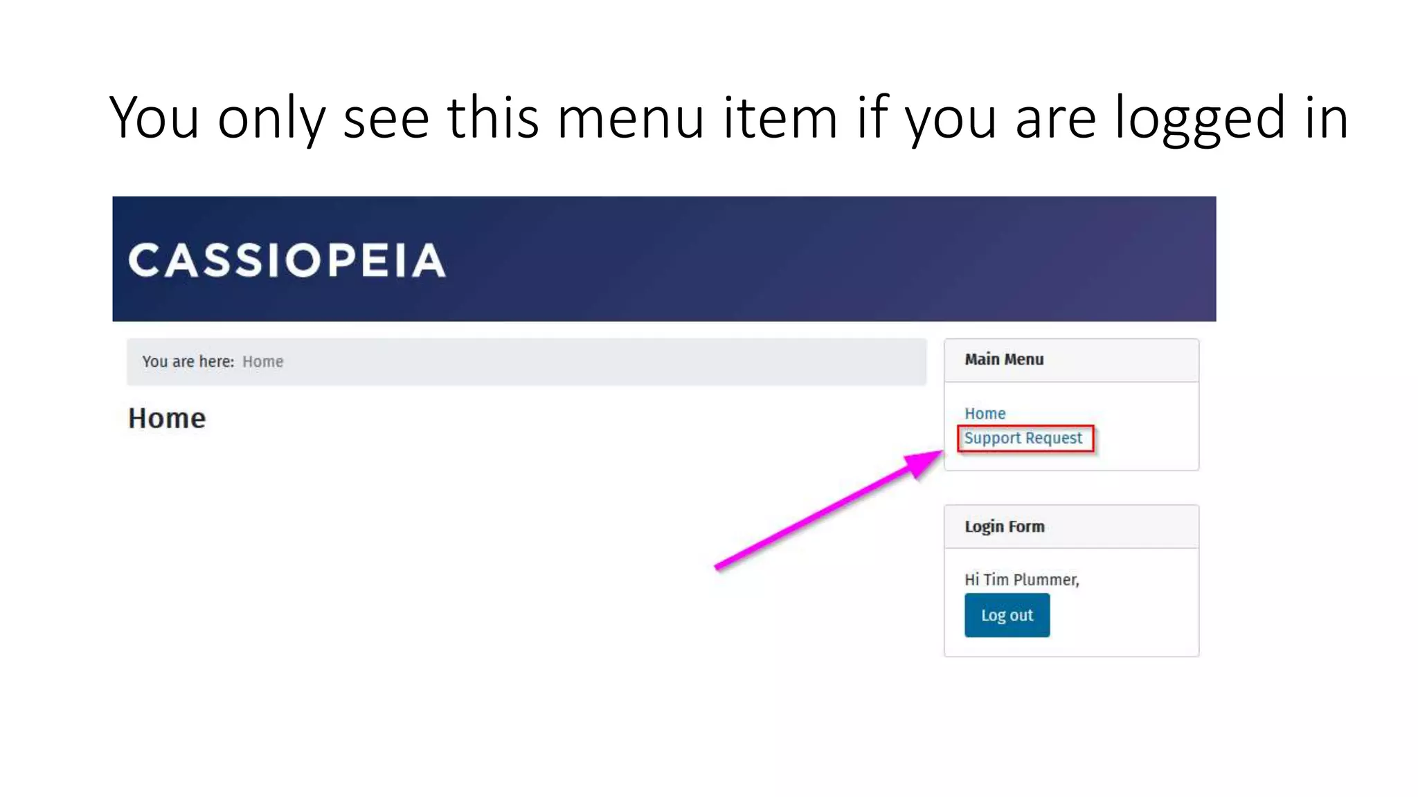 You only see this menu item if you are logged in
 