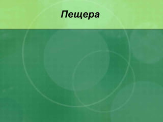 Пещера
 