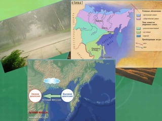 Муссонный климат
 
