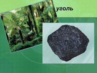 Каменный уголь
 