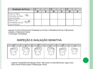 Legenda: F=Forte D=Diminuída P=Paralisado ou 5=Forte, 4=Resistência Parcial, 3=Movimento
completo, 2=Movimento Parcial,
1=Contração, 0=Paralisado
INSPEÇÃO E AVALIAÇÃO SENSITIVA
Legenda: Caneta/filamento lilás(2g): Sente " Não sente X ou Monofilamentos: seguir cores
Garra móvel: M Garra rígida: R Reabsorção: Ferida:
 