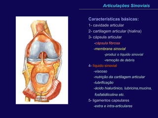 Articulações Sinoviais Características básicas:   1- cavidade articular 2- cartilagem articular (hialina) 3- cápsula articular   - cápsula fibrosa   - membrana sinovial   -produz o líquido sinovial - remoção de debris 4-   líquido sinovial   -viscoso   -nutrição da cartilagem articular   -lubrificação   -ácido hialurônico, lubricina,mucina,   fosfatidilcolina etc.   5- ligamentos capsulares   -extra e intra-articulares   