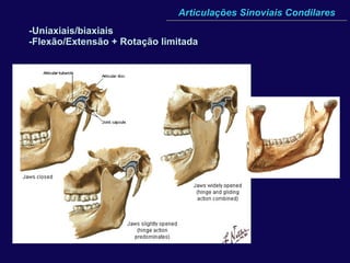 Articulações Sinoviais Condilares -Uniaxiais/biaxiais  -Flexão/Extensão + Rotação limitada 