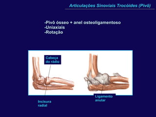 Articulações Sinoviais Trocóides (Pivô) -Pivô ósseo + anel osteoligamentoso -Uniaxiais -Rotação Ligamento anular Incisura radial Cabeça do rádio 