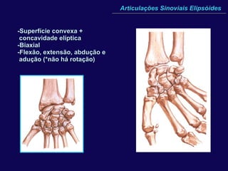 Articulações Sinoviais Elipsóides -Superfície convexa +  concavidade elíptica  -Biaxial -Flexão, extensão, abdução e adução (*não há rotação) 
