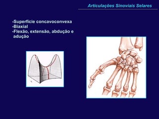 Articulações Sinoviais Selares -Superfície concavoconvexa -Biaxial -Flexão, extensão, abdução e adução 