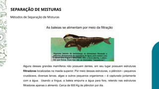 As baleias se alimentam por meio da filtração
http://www.saudeanimal.com.br/imagens/baleia001.jpg
Alguns desses grandes mamíferos não possuem dentes, em seu lugar possuem estruturas
filtradoras localizadas na maxila superior. Por meio dessas estruturas, o plâncton - pequenos
crustáceos, diversas larvas, algas e outros pequenos organismos – é capturado juntamente
com a água. Usando a língua, a baleia empurra a água para fora, retendo nas estruturas
filtradoras apenas o alimento. Cerca de 600 Kg de plâncton por dia.
SEPARAÇÃO DE MISTURAS
Métodos de Separação de Misturas
 