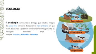 Ecologia: Relações Ecológicas e Interações entre Seres Vivos e Ambiente ...
