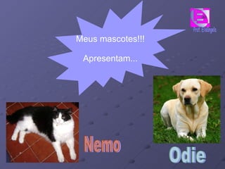 Meus mascotes!!! Apresentam... Odie Nemo 