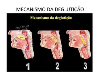 MECANISMO DA DEGLUTIÇÃO
 
