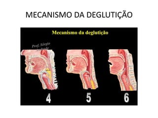 MECANISMO DA DEGLUTIÇÃO
 