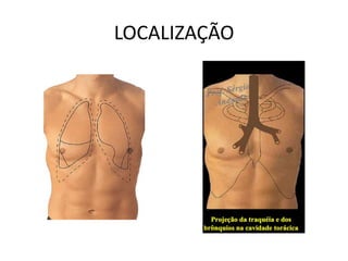 LOCALIZAÇÃO
 