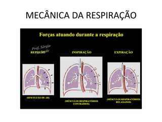 MECÂNICA DA RESPIRAÇÃO
 