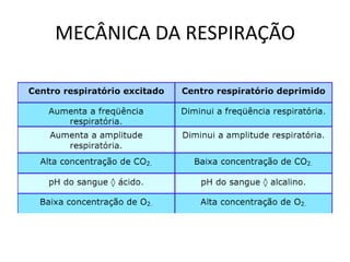 MECÂNICA DA RESPIRAÇÃO
 