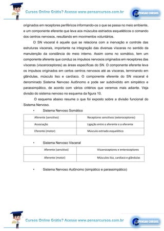 originados em receptores periféricos informando-os o que se passa no meio ambiente,
e um componente eferente que leva aos músculos estriados esqueléticos o comando
dos centros nervosos, resultando em movimentos voluntários.
O SN visceral é aquele que se relaciona com a inervação e controle das
estruturas viscerais, importante na integração das diversas vísceras no sentido da
manutenção da constância do meio interno. Assim como no somático, tem um
componente aferente que conduz os impulsos nervosos originados em receptores das
vísceras (visceroceptores) as áreas específicas do SN. O componente eferente leva
os impulsos originados em certos centros nervosos até as vísceras, terminando em
glândulas, músculo liso e cardíaco. O componente eferente do SN visceral é
denominado Sistema Nervoso Autônomo e pode ser subdividido em simpático e
parassimpático, de acordo com vários critérios que veremos mais adiante. Veja
divisão do sistema nervoso no esquema da figura 10.
O esquema abaixo resume o que foi exposto sobre a divisão funcional do
Sistema Nervoso.
• Sistema Nervoso Somático
Aferente (sensitivo) Receptores sensitivos (exteroceptores)
Associação Ligação entre o aferente e o eferente
Eferente (motor) Músculo estriado esquelético
• Sistema Nervoso Visceral
Aferente (sensitivo) Visceroceptores e enteroceptores
Aferente (motor) Músculos liso, cardíaco e glândulas
• Sistema Nervoso Autônomo (simpático e parassimpático)
 