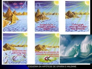 ESQUEMA DA HIPÓTESE DE OPARIN E HALDANE  