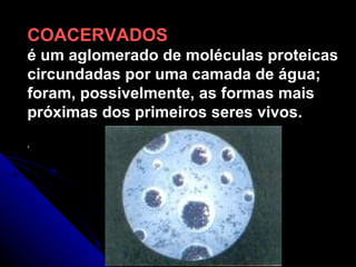 COACERVADOS é um aglomerado de moléculas proteicas circundadas por uma camada de água; foram, possivelmente, as formas mais próximas dos primeiros seres vivos. . 