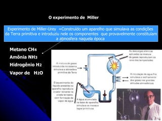 O experimento de  Miller Experimento de Miller-Urey  =Construído um aparelho que simulava as condições  da Terra primitiva e introduziu nele os componentes  que provavelmente constituíam a atmosfera naquela época  Metano CH 4 Amônia NH 3 Hidrogênio H 2 Vapor de  H 2 O 