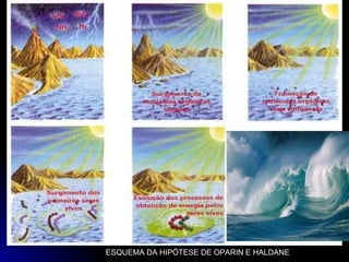 ESQUEMA DA HIPÓTESE DE OPARIN E HALDANE  