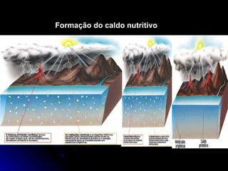 Formação do caldo nutritivo 