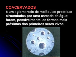 COACERVADOS é um aglomerado de moléculas proteicas circundadas por uma camada de água; foram, possivelmente, as formas mais próximas dos primeiros seres vivos. . 