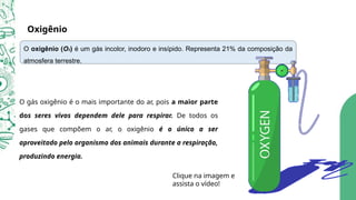 Oxigênio
O gás oxigênio é o mais importante do ar, pois a maior parte
dos seres vivos dependem dele para respirar. De todos os
gases que compõem o ar, o oxigênio é o único a ser
aproveitado pelo organismo dos animais durante a respiração,
produzindo energia.
O oxigênio (O2) é um gás incolor, inodoro e insípido. Representa 21% da composição da
atmosfera terrestre.
Clique na imagem e
assista o vídeo!
 