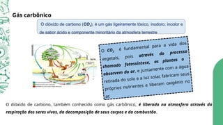Gás carbônico
O dióxido de carbono, também conhecido como gás carbônico, é liberado na atmosfera através da
respiração dos seres vivos, da decomposição de seus corpos e da combustão.
passeiweb.
O dióxido de carbono (CO2), é um gás ligeiramente tóxico, inodoro, incolor e
de sabor ácido e componente minoritário da atmosfera terrestre
O CO2
é fundamental para a vida dos
vegetais, pois através do processo
chamado fotossíntese, as plantas o
absorvem do ar, e juntamente com a água
retirada do solo e a luz solar, fabricam seus
próprios nutrientes e liberam oxigênio no
ar.
 