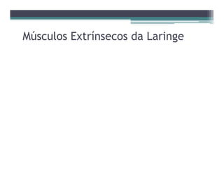 Músculos Extrínsecos da Laringe
 