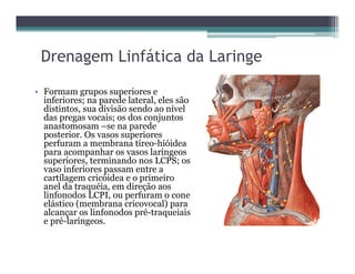 Drenagem Linfática da Laringe
• Formam grupos superiores e
inferiores; na parede lateral, eles são
distintos, sua divisão sendo ao nível
das pregas vocais; os dos conjuntos
anastomosam –se na parede
posterior. Os vasos superiores
perfuram a membrana tíreo-hióidea
para acompanhar os vasos laríngeos
superiores, terminando nos LCPS; os
vaso inferiores passam entre a
cartilagem cricóidea e o primeiro
anel da traquéia, em direção aos
linfonodos LCPI, ou perfuram o cone
elástico (membrana cricovocal) para
alcançar os linfonodos pré-traqueiais
e pré-laríngeos.
 