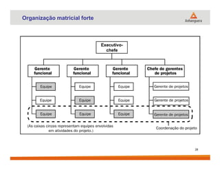 Organização matricial forte
28
 